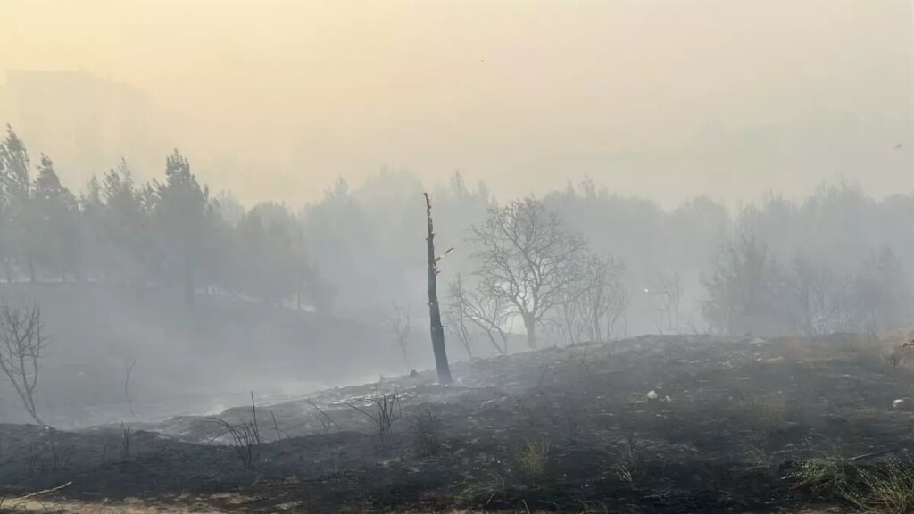 mahalleli yangina kovayla mudahale N8EStOgG