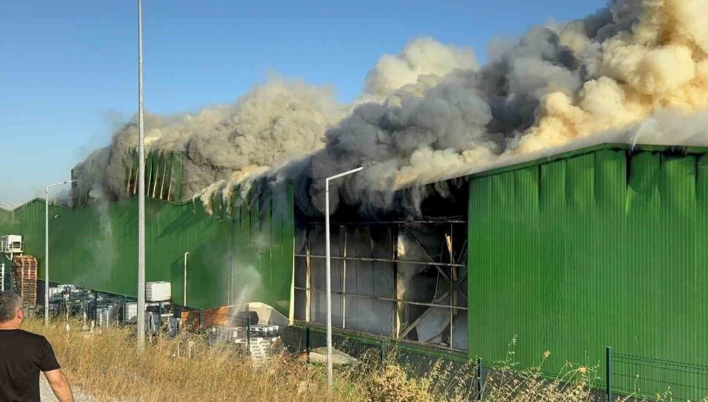 teksut fabrikasi yangini sorusturmasinda 1 kisi tutuklandi v2m9t9ai