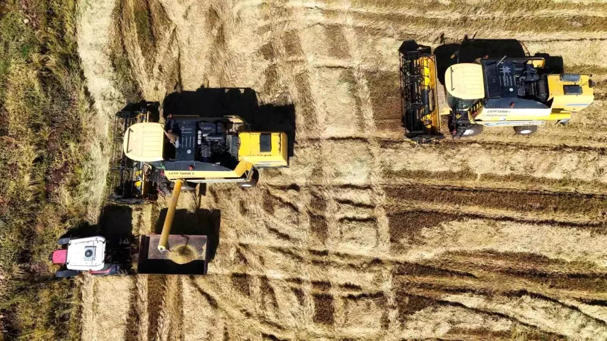 diyarbakirda karacadag pirinci hasadi basladi vXNhrCAH