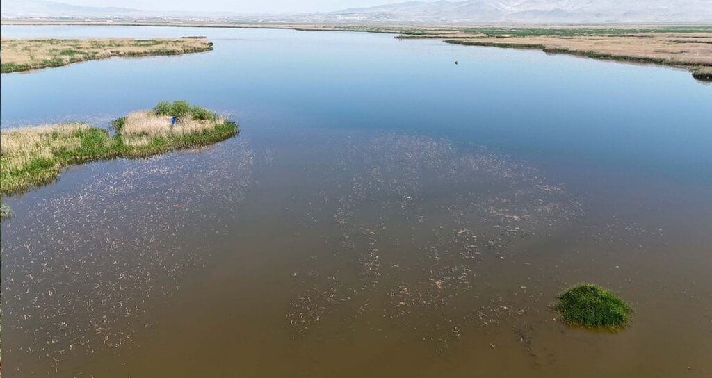 Eber Gölü’ne giriş ve çıkışlar ikinci bir emre kadar yasaklandı