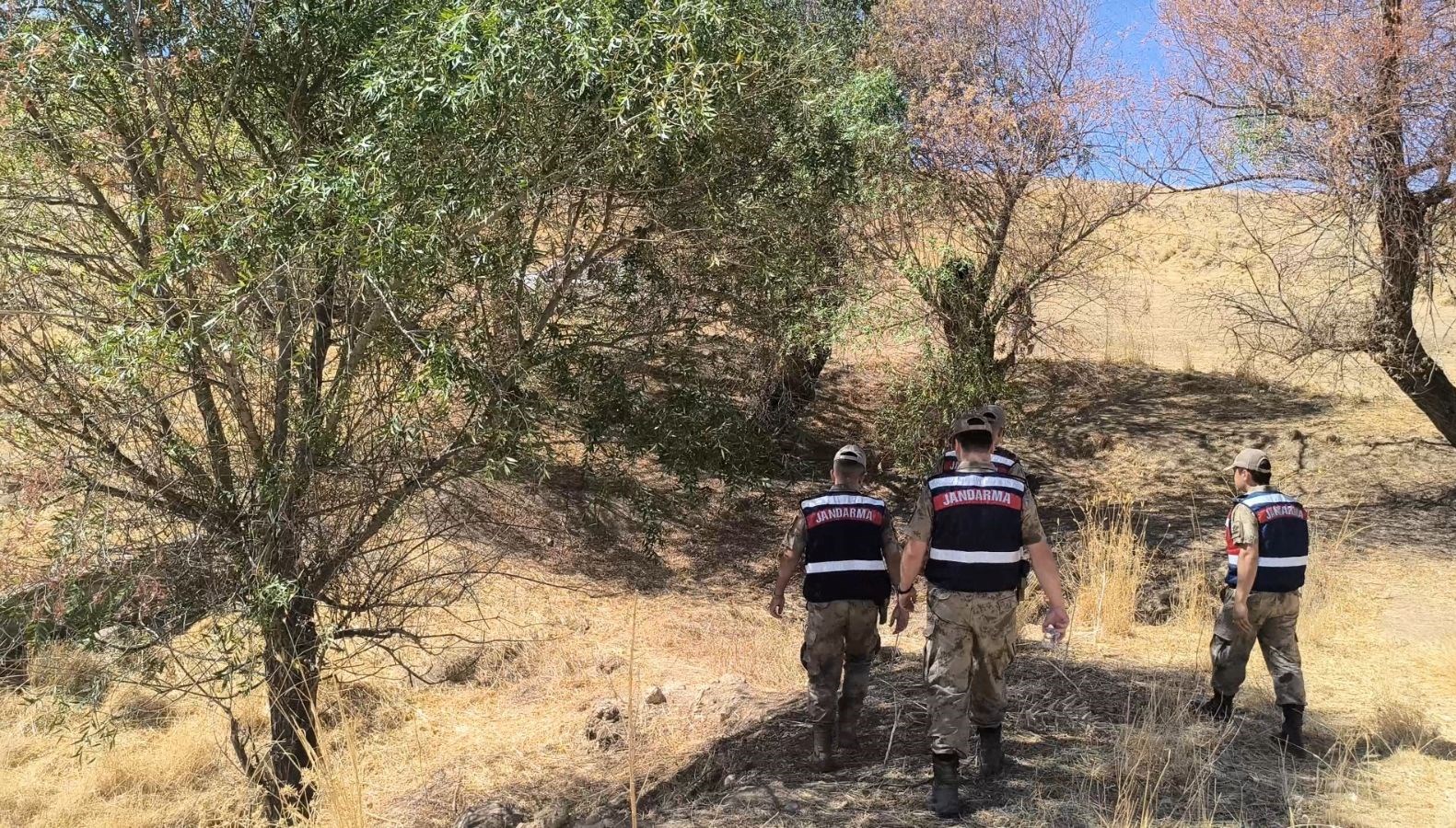 siirtte kayip alzheimer hastasi 9 gundur araniyor 6BtY9w9a