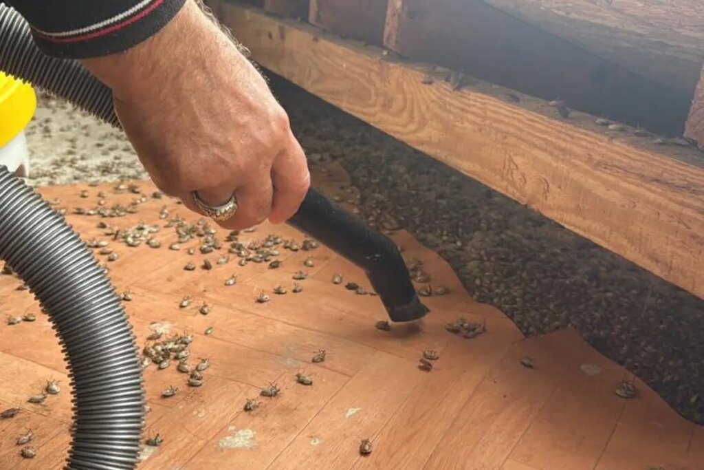 artik tum turkiyenin belasi marketleri de istila edecekler cxxJxxgQ.jpg