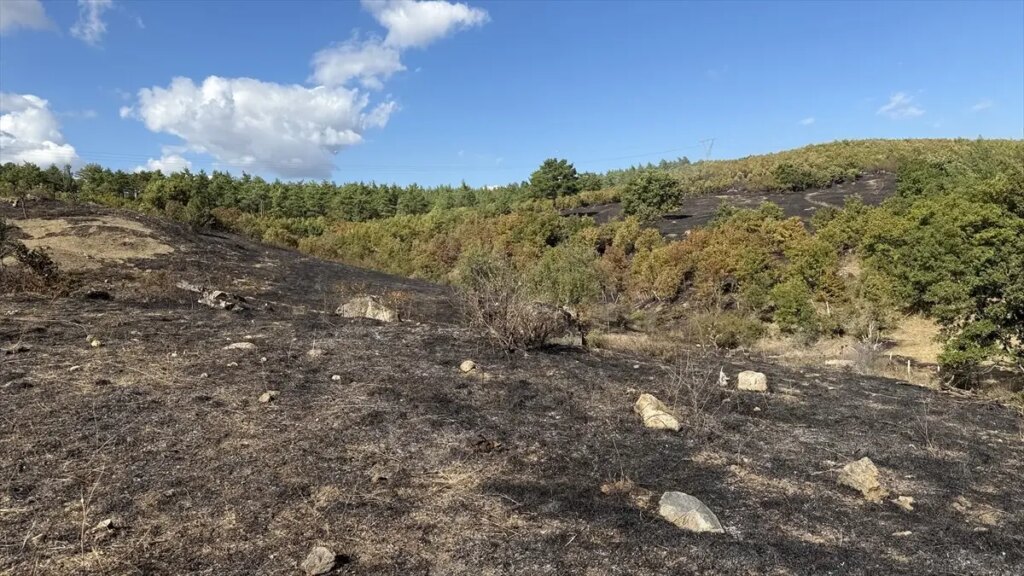 canda yangin kontrol altina alindi 5KisFH1b