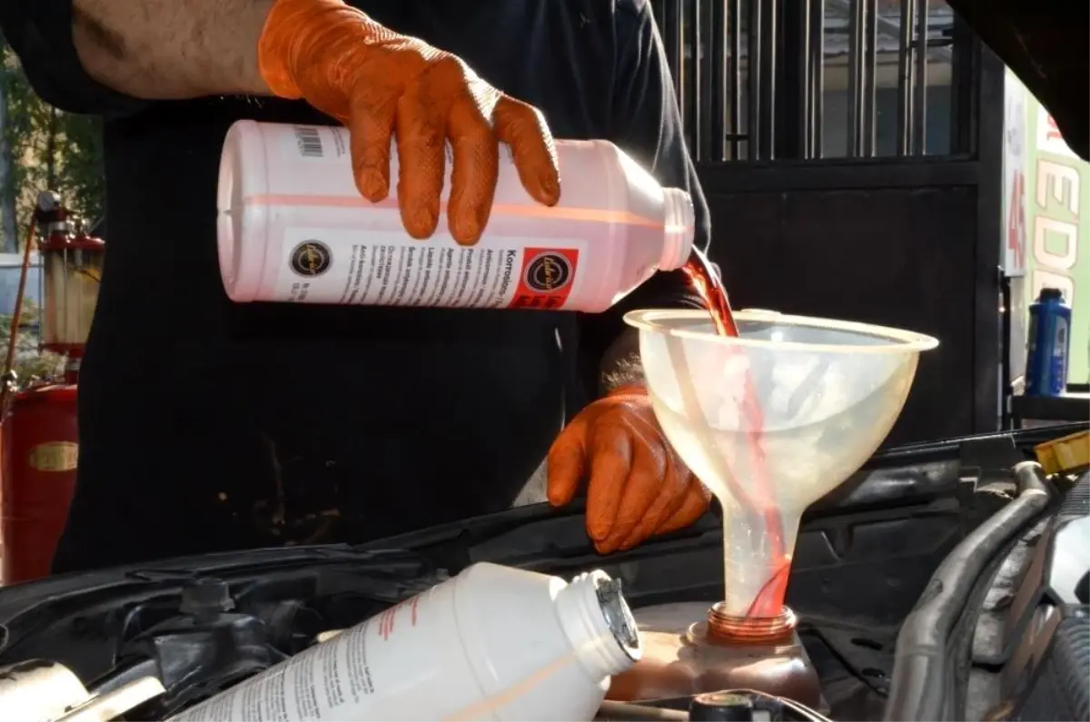 erzincanda kis bakim uyarisi Z6ru1cKG.jpg