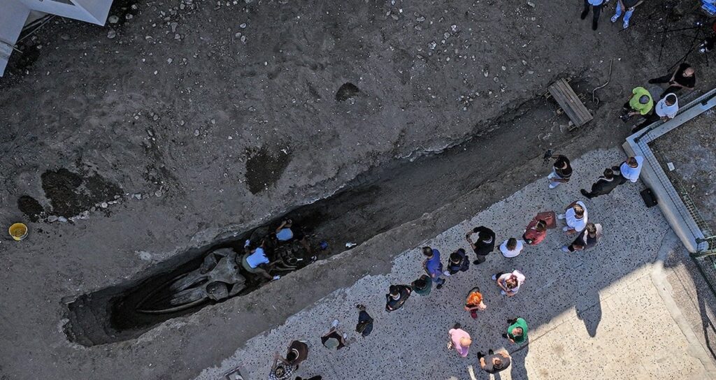 yer mersin 4 yil sonra gomuldugu topraktan cikarildi uaH4QqiU