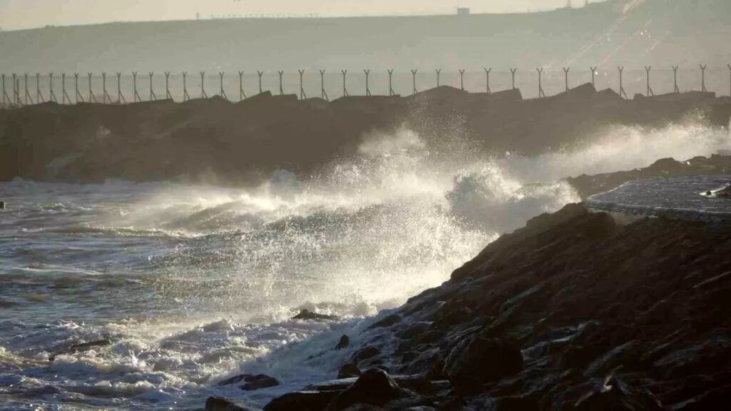 Hamsi Yerine İstavrit