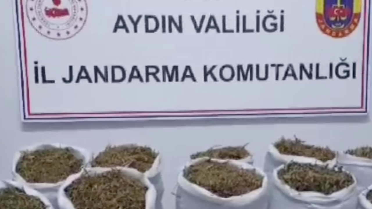 aydinda-uyusturucu-operasyonu-2-gozalti-xkq8gfFJ