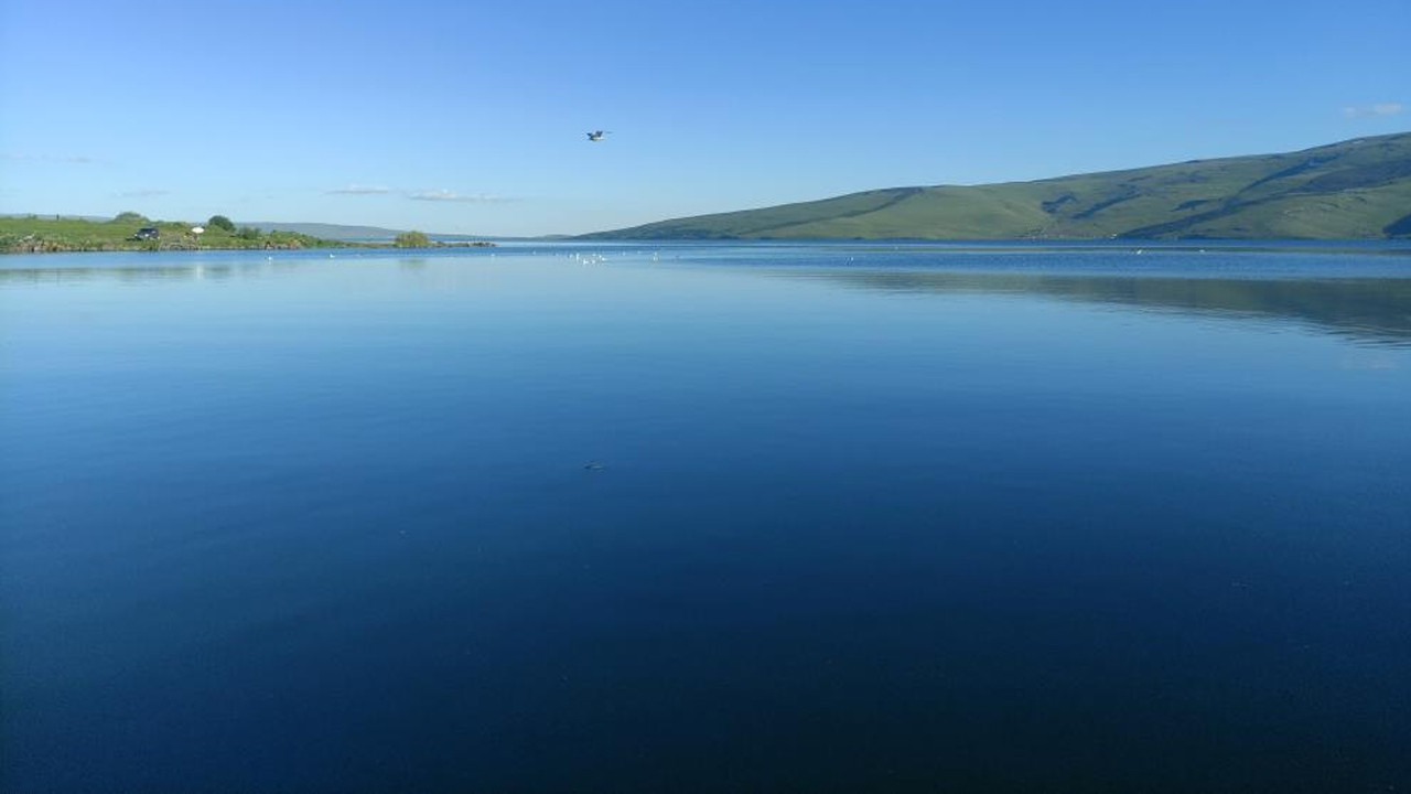 Haber gorseli
