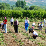 Toguden dunya genclerine anadolu kapisi 15 ulkeden ogrenci tokatta bulustu DzcdDcdA