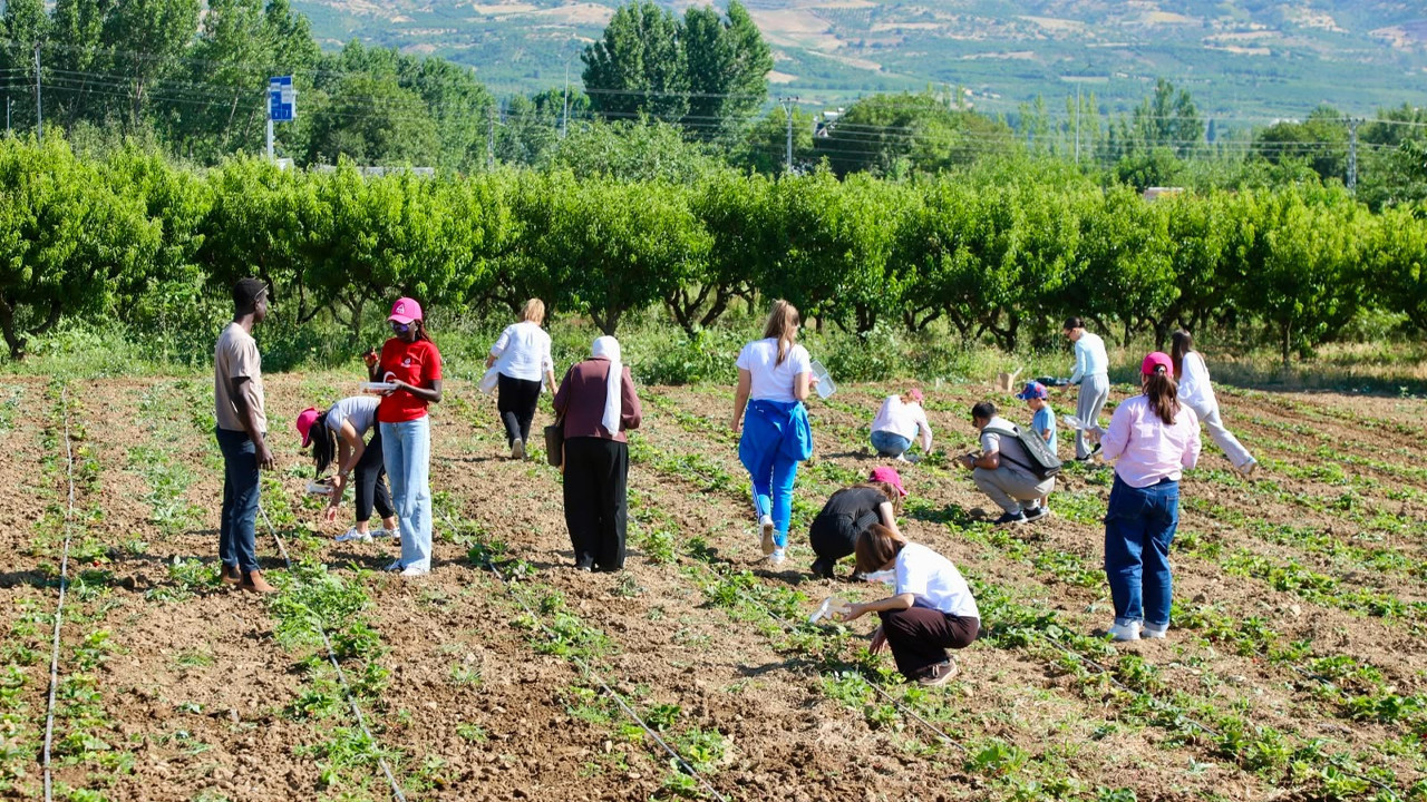 Toguden dunya genclerine anadolu kapisi 15 ulkeden ogrenci tokatta bulustu DzcdDcdA